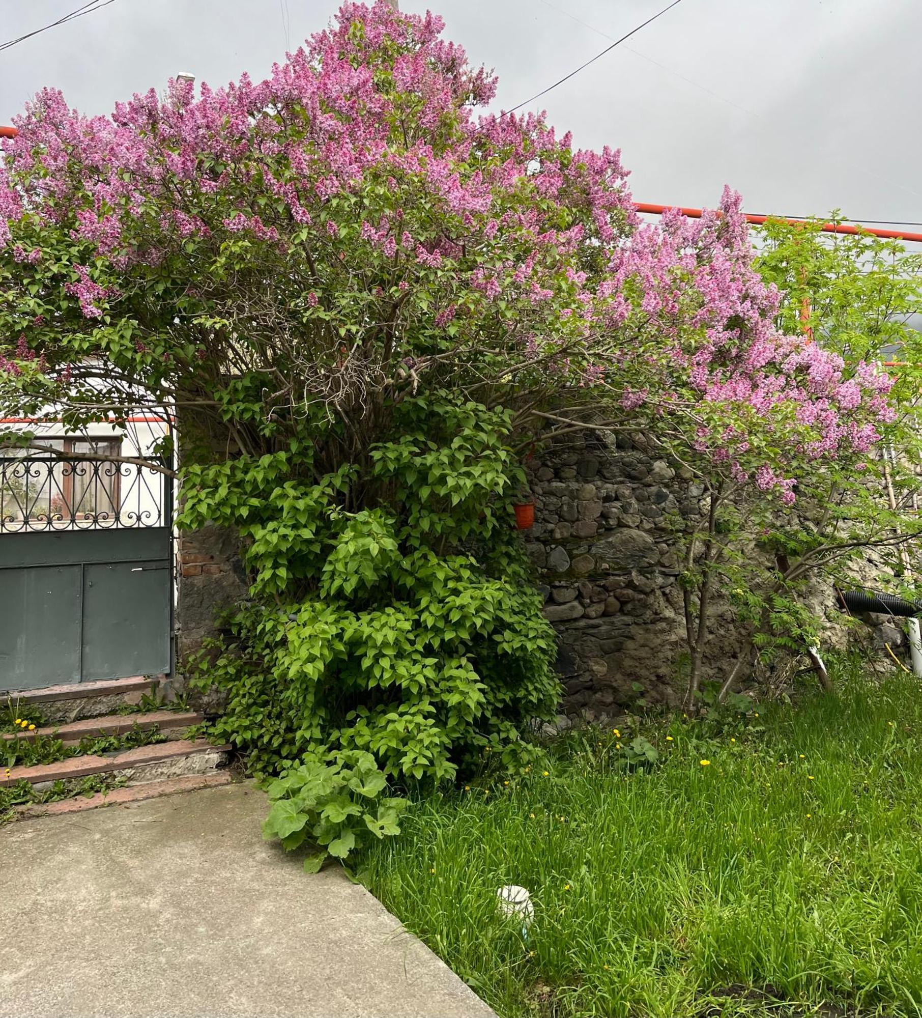 Soso Burduli'S Guesthouse คัซเบกี ภายนอก รูปภาพ