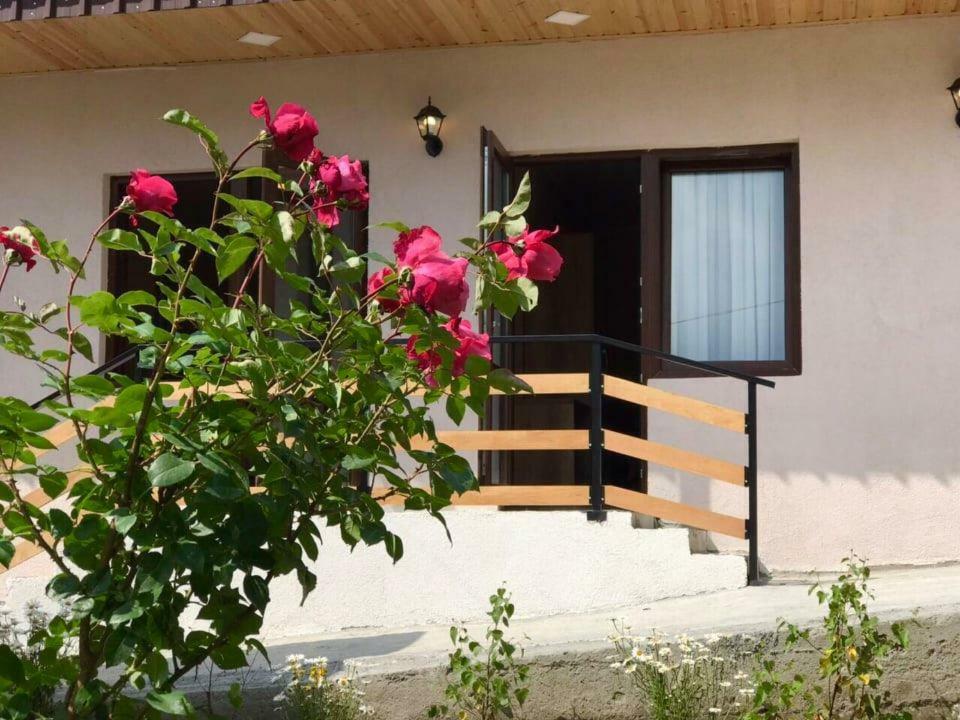 Soso Burduli'S Guesthouse คัซเบกี ภายนอก รูปภาพ